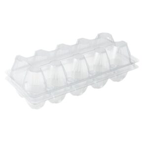 10'LU YUMURTA VİYOLÜ